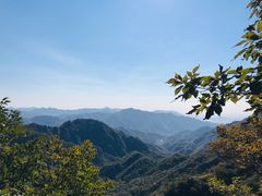 -大岭沟猕猴桃谷风景区