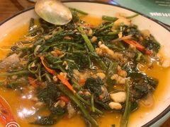 飞天空心菜-苏梅花园(群星城店)