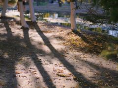 -长白岛森林公园