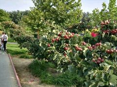 -意大利农场度假村