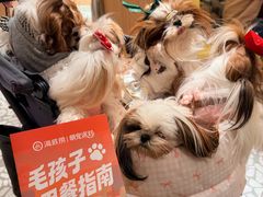 -海底捞火锅(凤凰广场店)