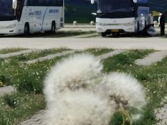 -坝上草原大汗行宫旅游景区