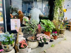 -家烧面馆【南山路知名经典面食】