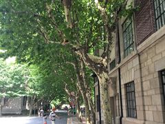 -星巴克(上海交通大学店)