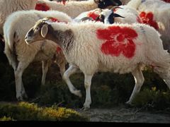 -国文影城(上海闸北店)