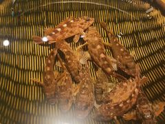 -拉完海鲜大排档(温岭店)