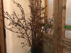 -西关84·History·Art·Cafe