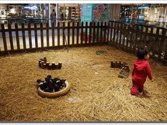 小朋友和小香猪们-远洋未来广场(育慧北路店)