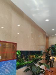 -臻悦医疗美容整形门诊部