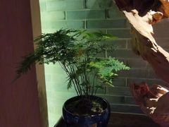 -足本纪·足道 SPA 简餐 小吃(文三西路店)