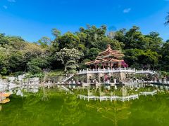 -深圳仙湖植物园