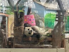 -青藏高原野生动物园