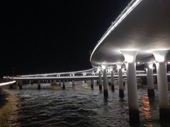 -演武大桥观景平台