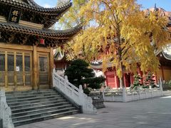 -上海东林寺(金山区)