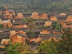 -杨家堂村