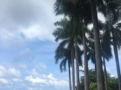 -三亚亚龙湾红树林度假酒店