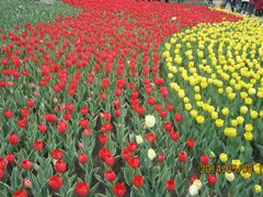 反差-长春公园(普阳街道)