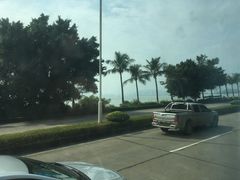 -野狸岛