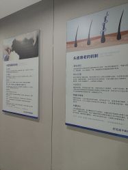 -碧莲盛不剃发植发