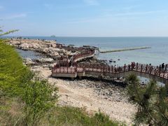 -养马岛旅游度假区