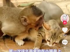 -昆明动物园