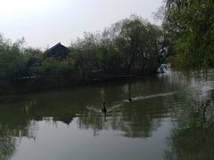 -长兴太湖图影湿地文化园