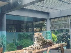 -昆明动物园