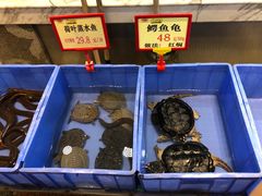 -沙河粉村·国家非遗传承(云台店)