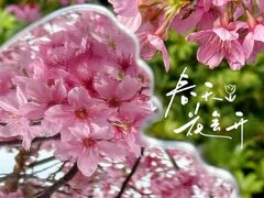 -乌山风景区