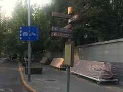 -三里屯东五街银杏大道