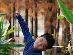 -白鹭湾湿地公园