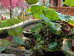 -麦园农庄·西江河鲜