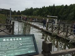 -溱湖国家湿地公园