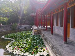 -华清宫景区