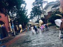 -重庆海昌加勒比海水世界
