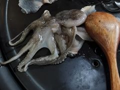 -丽江庭院之丽江往事(安定门店)