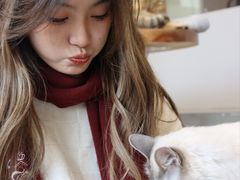 -Cappucimeow猫咪咖啡馆(韦伯时代店)