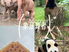 -深圳野生动物园