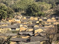 -杨家堂村