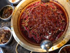 牛油红锅-小龙坎火锅(全球总店)