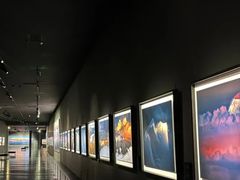 -罗红摄影艺术馆