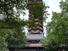-塔子山公园