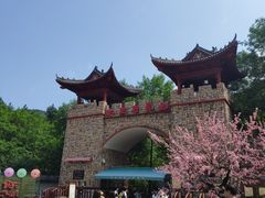 -木兰云雾山