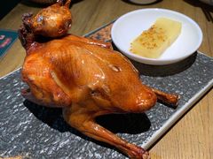 红烧鸽-大鸽饭(岗顶店)