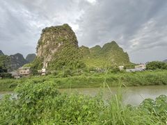 -银峰农庄·特色烧鸡·鲜无花果浸鸡