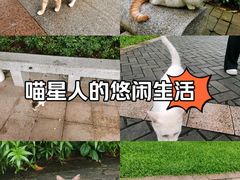 -广州珠江公园