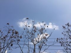 -太平洋激光影城(金沙紫荆店)