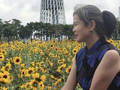 -海心沙亚运公园