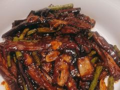 -紫光园·烤鸭·北京菜(劲松店)