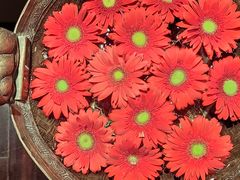 景观位-花马天堂云南餐厅 Lost Heaven(外滩店)